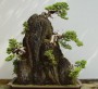 Hòn non bộ mini - mẫu tham khảo 43